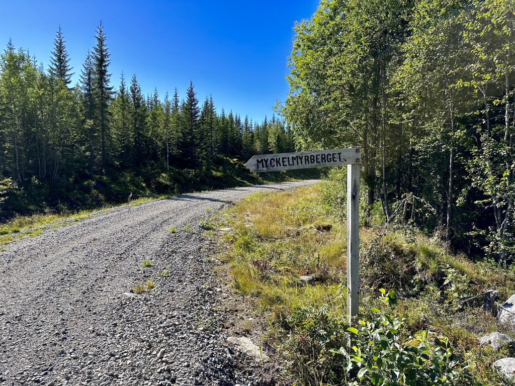 Myckelmyrberget i Ånge kommun är Medelpads högsta berg.