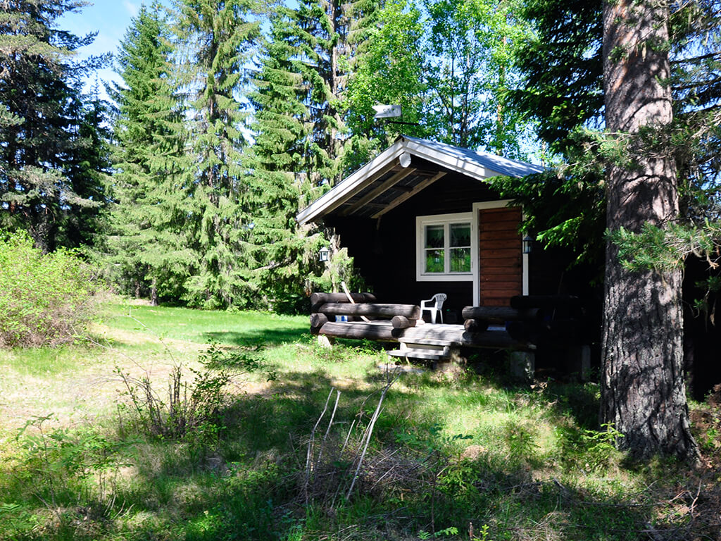 Wild Medelpad Malsjobodarna Timmerstugan 1 Min