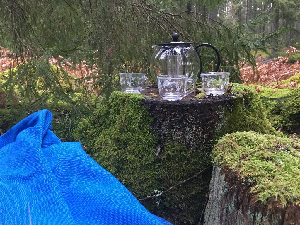 Skogsbad Shinrin Yoku En Stilla Vandring.